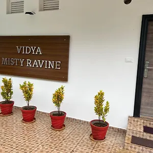 https://vidya-misty-ravine.kerala-hotels.net
